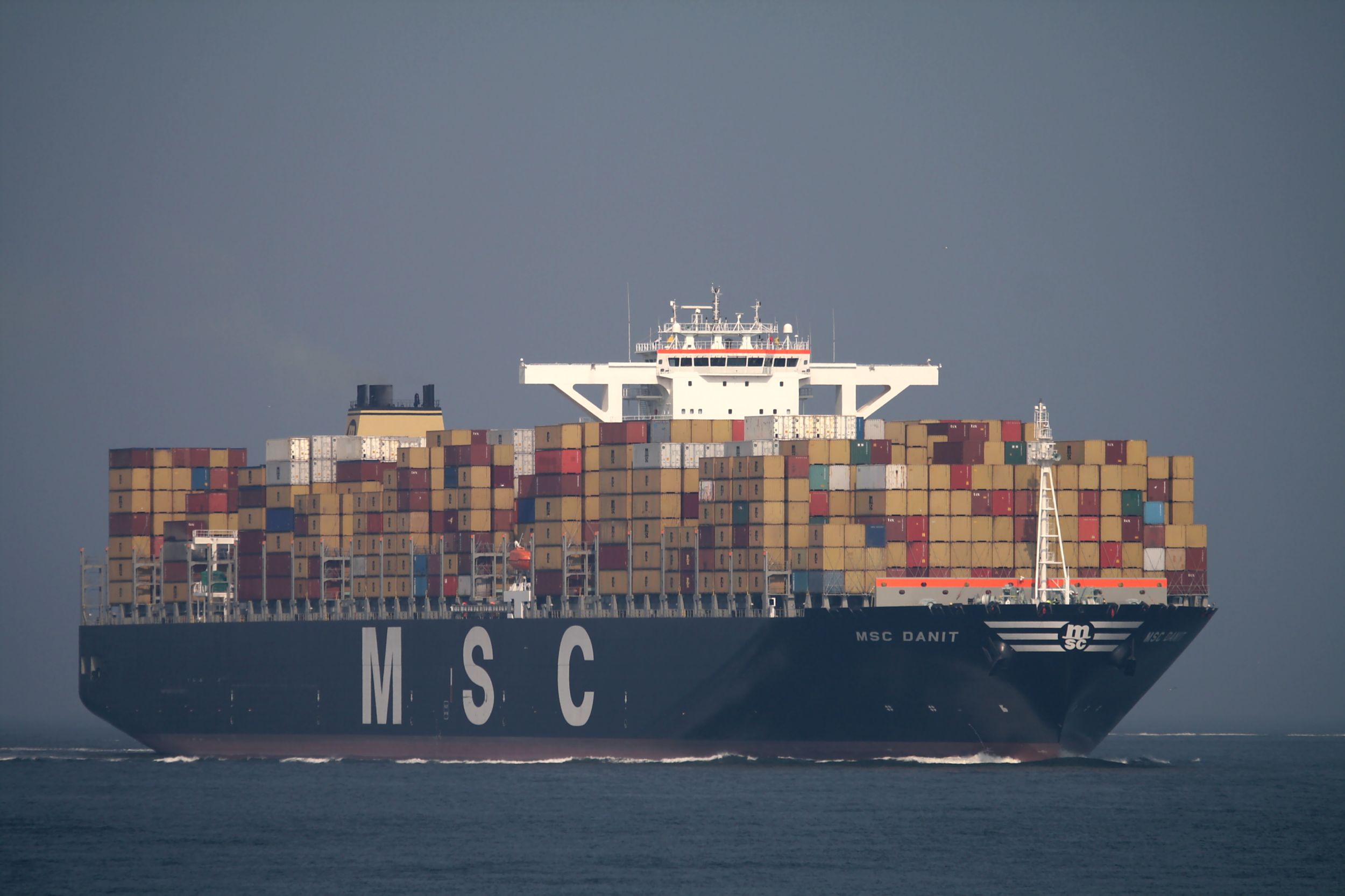 Msc Danit