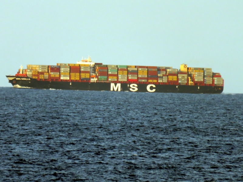 MSC GISELLE