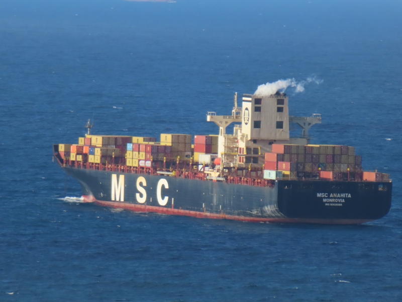 MSC Anahita