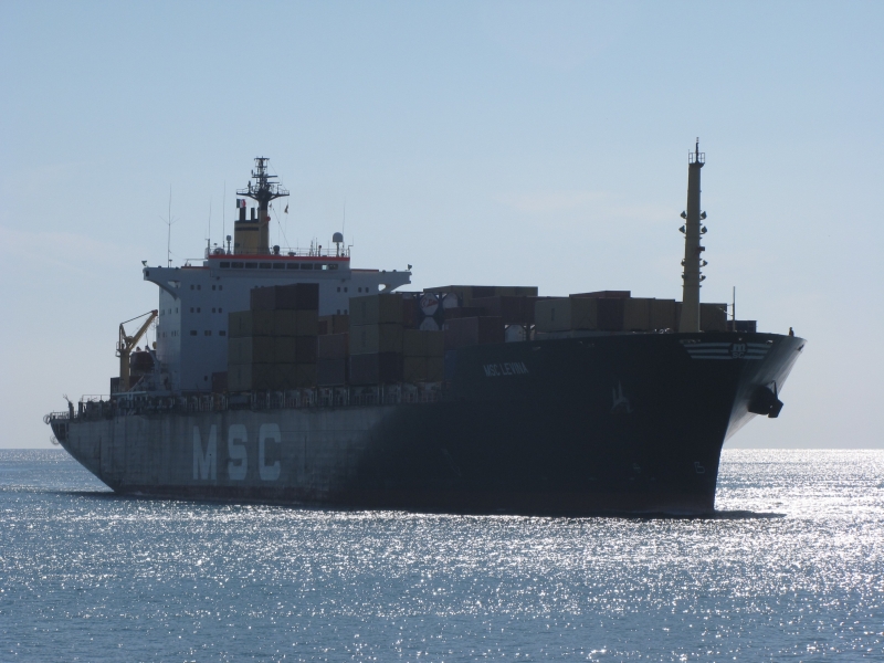 MSC LEVINA