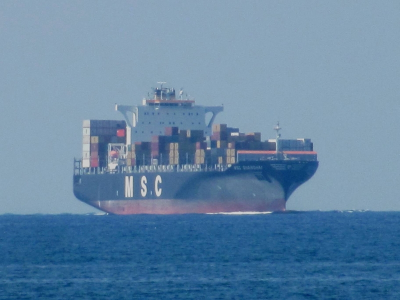 MSC SHANGHAI