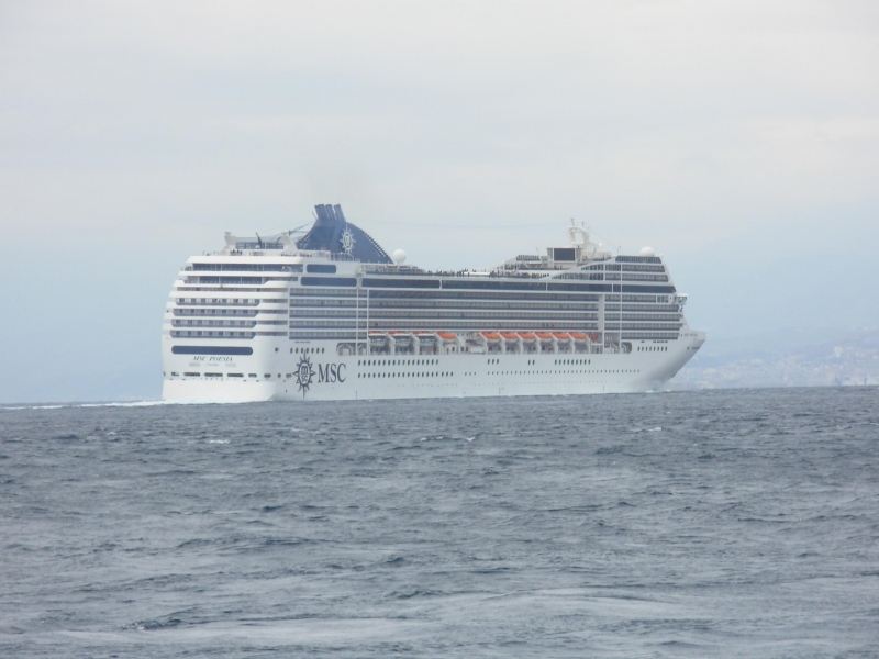 MSC POESIA