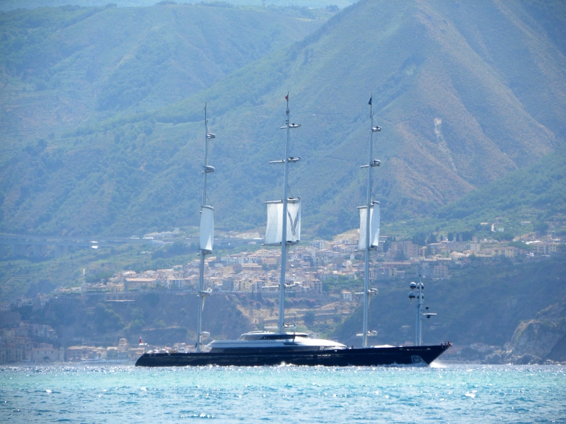 Maltese Falcon