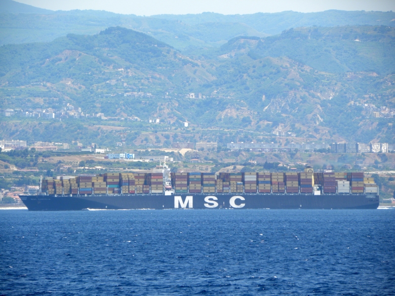 Msc Daniela