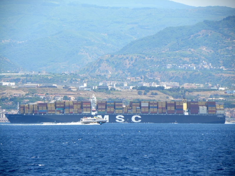 Msc Daniela