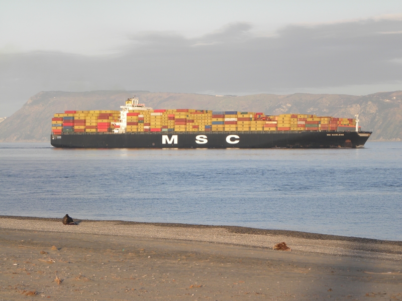 Msc Madeleine