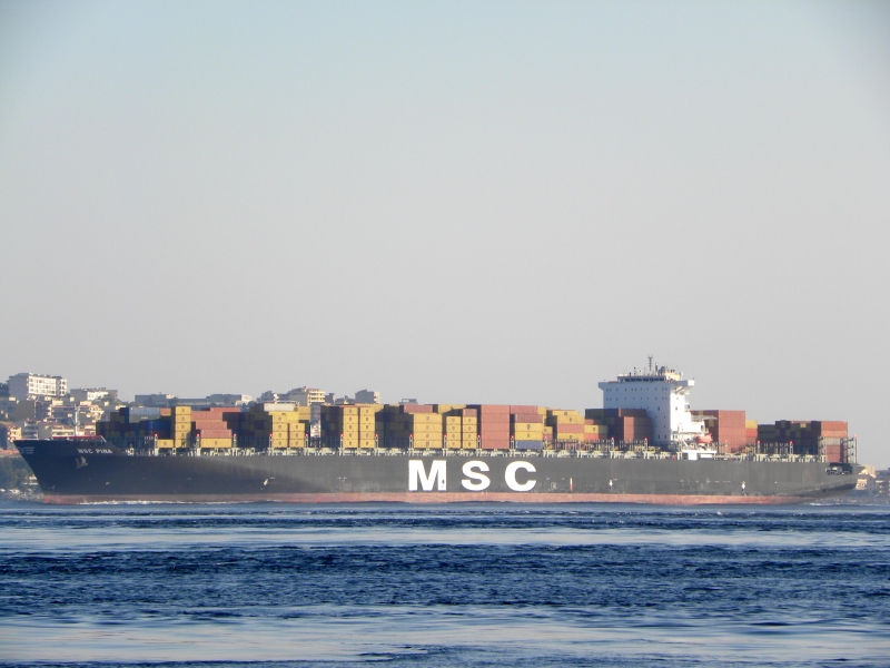 Msc Pina