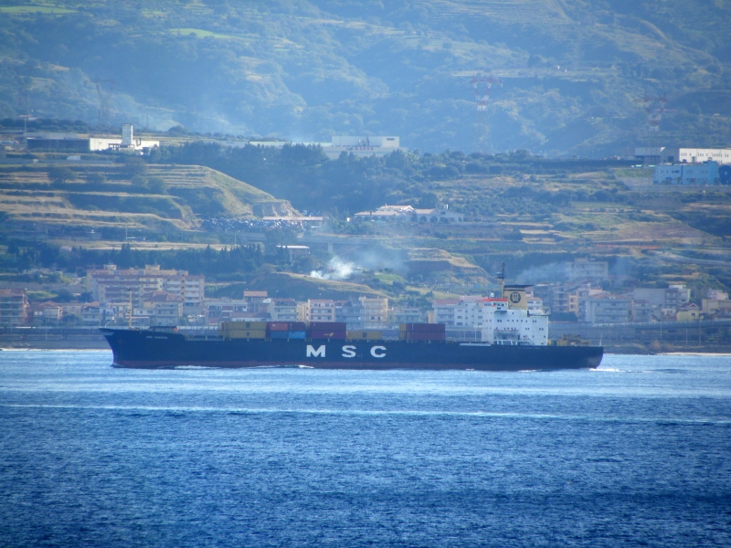 Msc Sariska