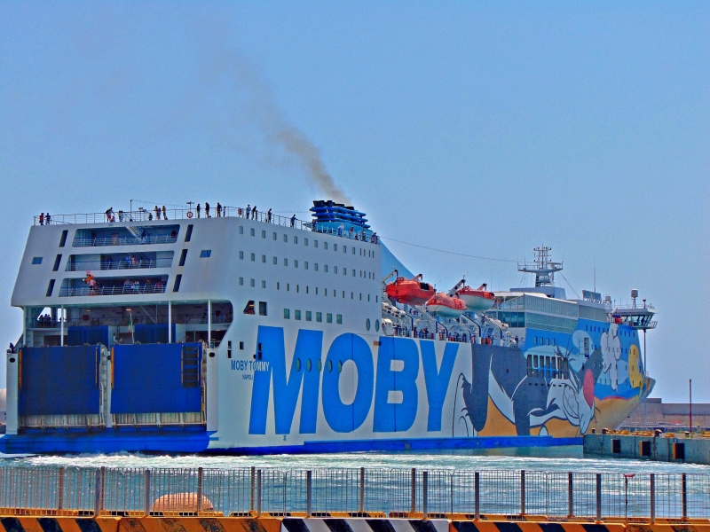 MOBY TOMMY