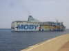 Moby Wonder