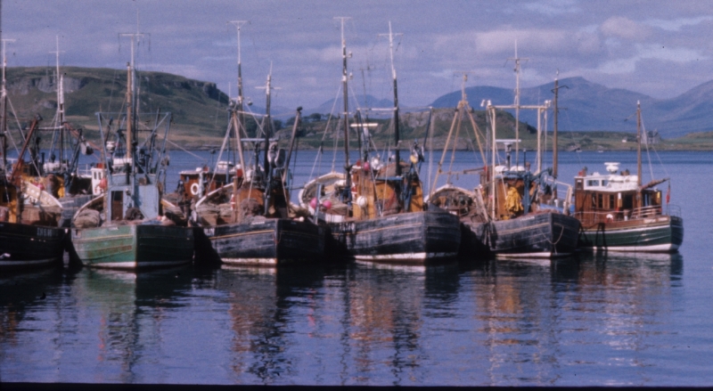 Fishing boats