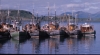 Fishing boats