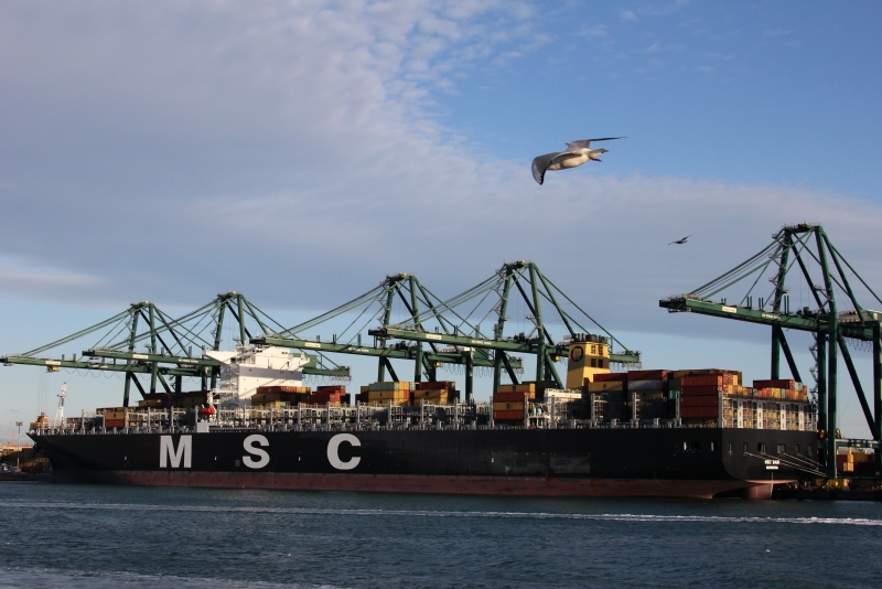 MSC BARI