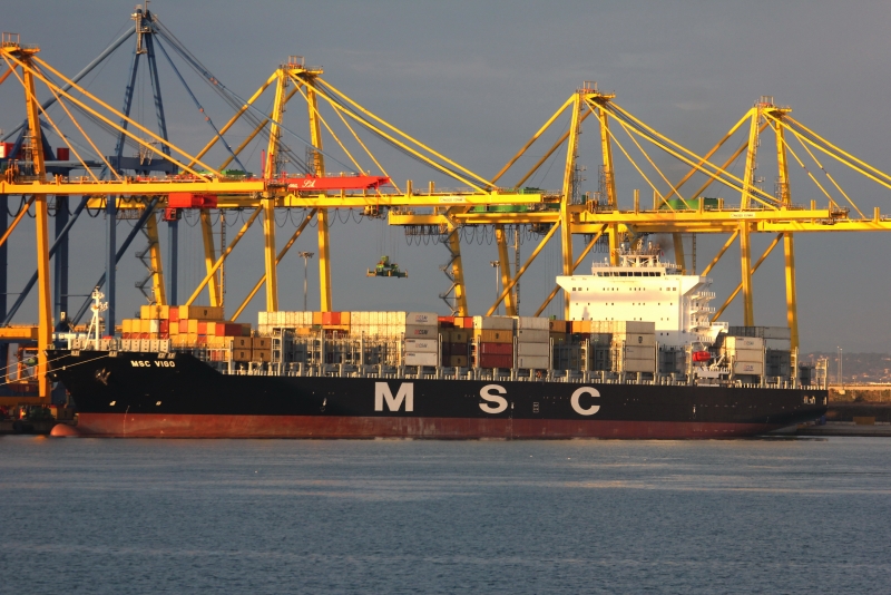 MSC VIGO