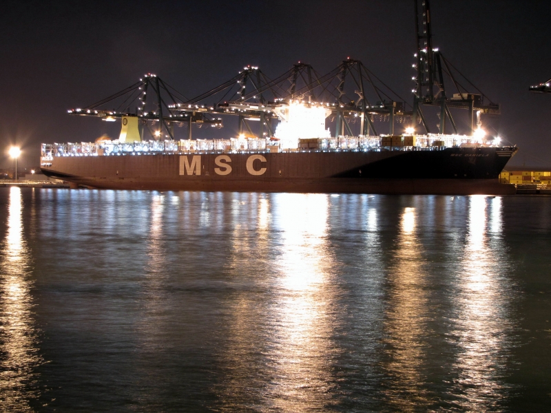 MSC DANIELA