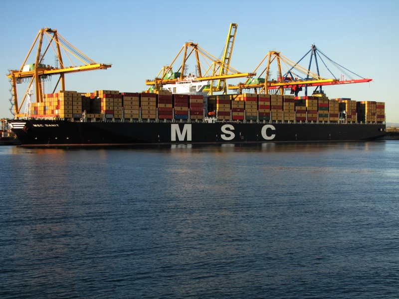 MSC DANIT