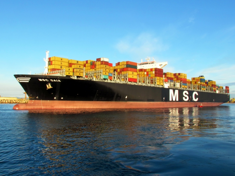 MSC GAIA