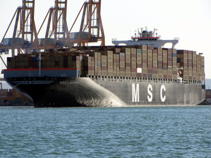 MSC LUCIANA