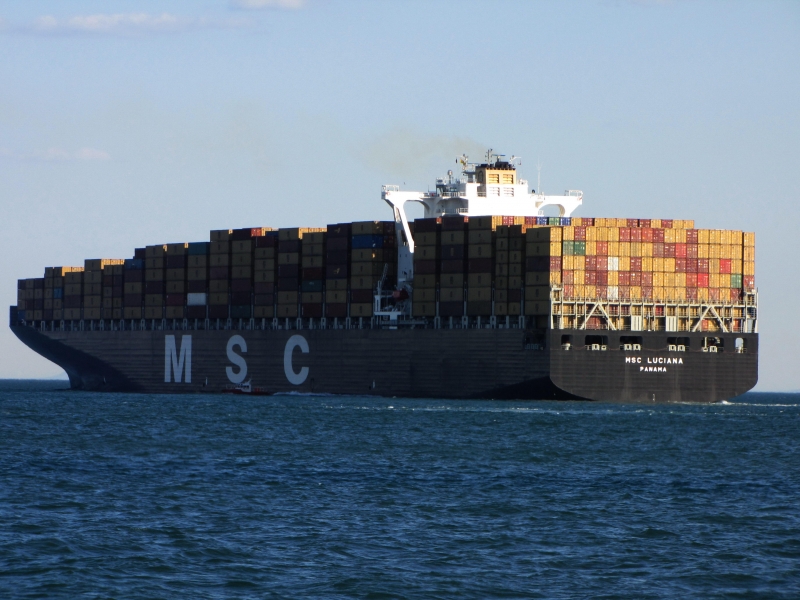 MSC LUCIANA