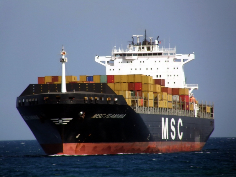 MSC FLAMINIA