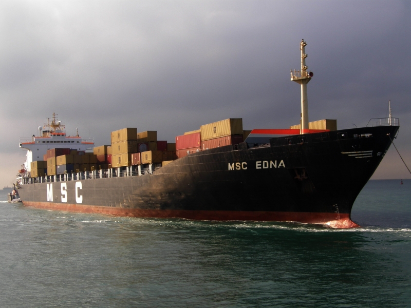 MSC EDNA