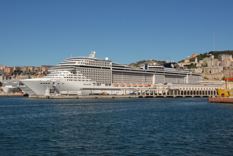 MSC Splendida