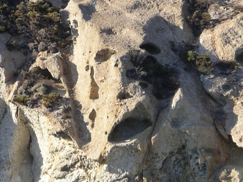 Viso sulla roccia di Ponza