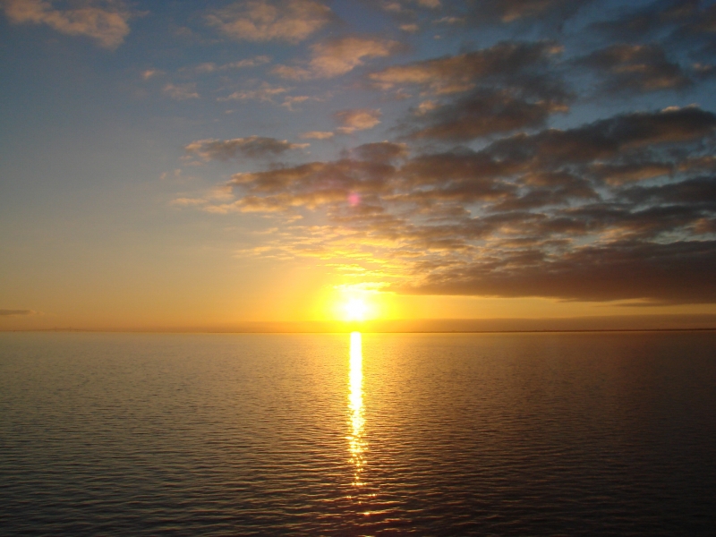 Sunset in Tampa Bay