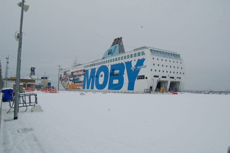 moby freedom neve