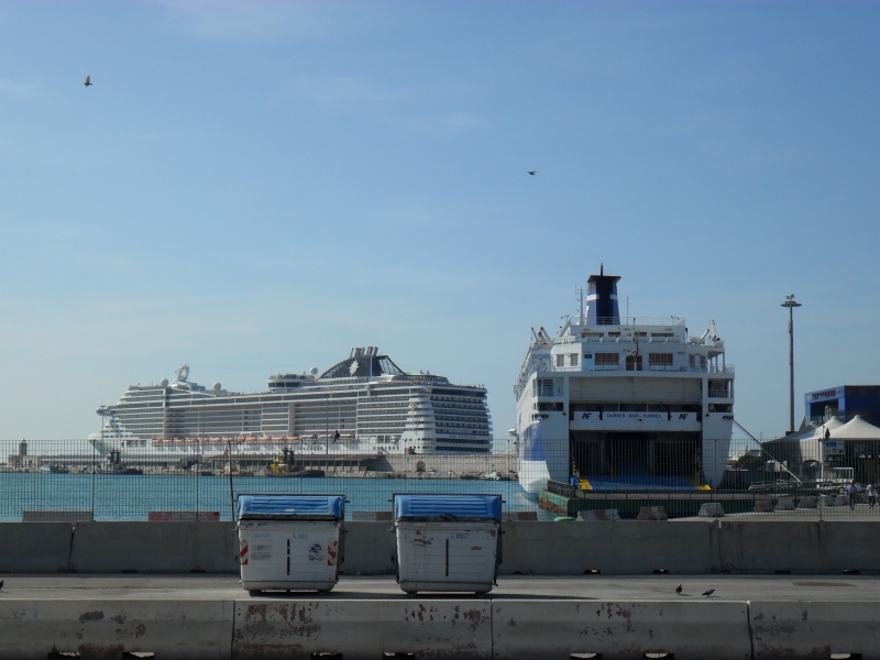 MSC Fantasia e AF Francesca