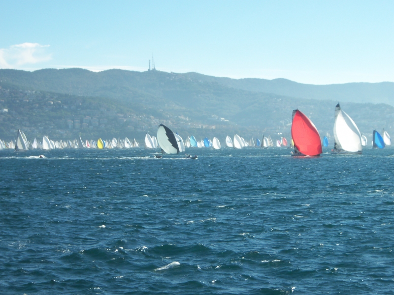 42ma Barcolana-10.10.2010 - Golfo di Trieste