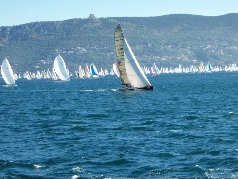 42ma Barcolana-10.10.2010 - Golfo di Trieste