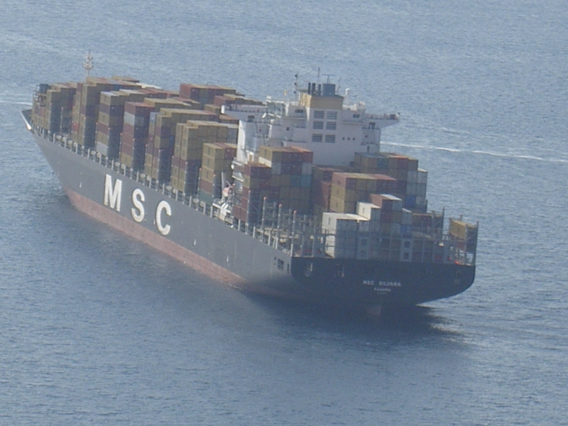 msc silvana