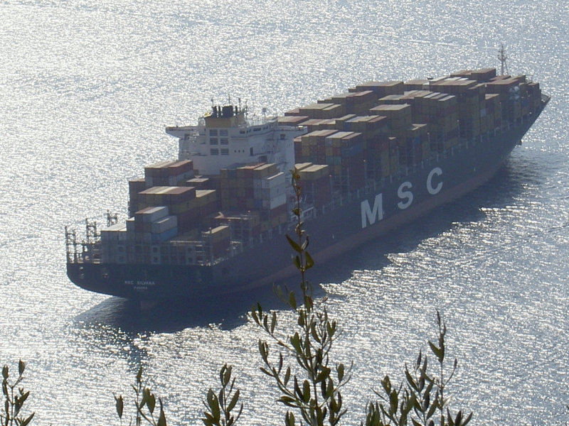 msc silvana