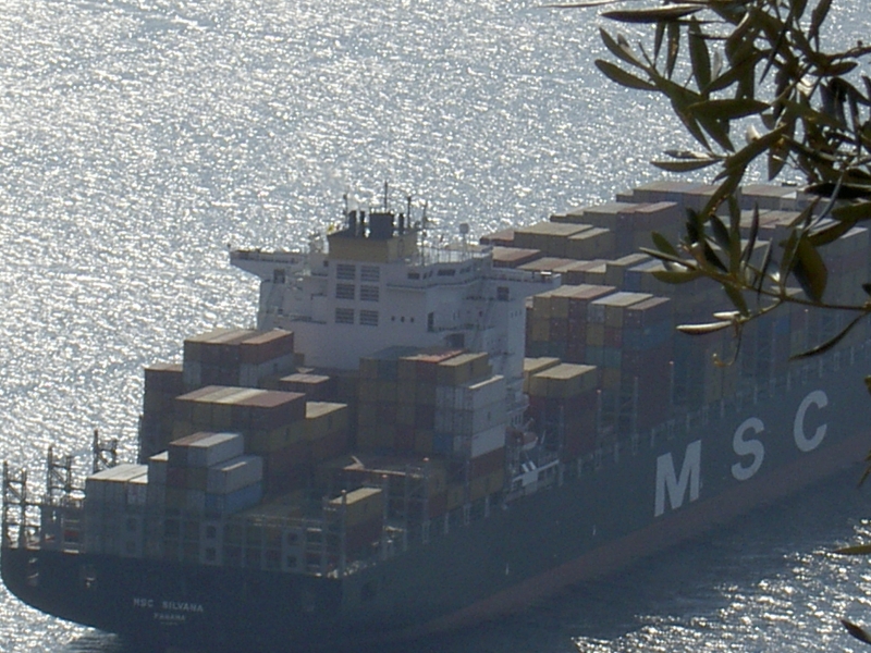 msc silvana