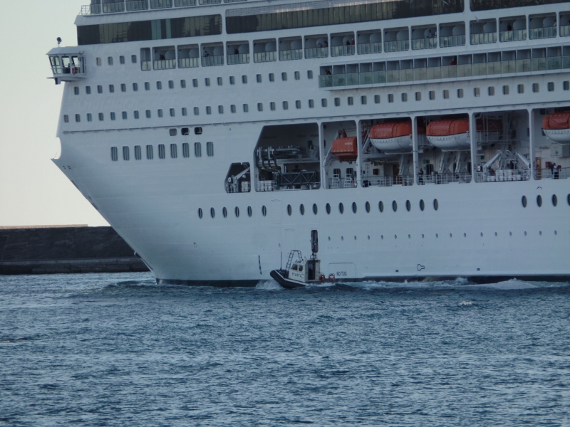 MSC ARMONIA