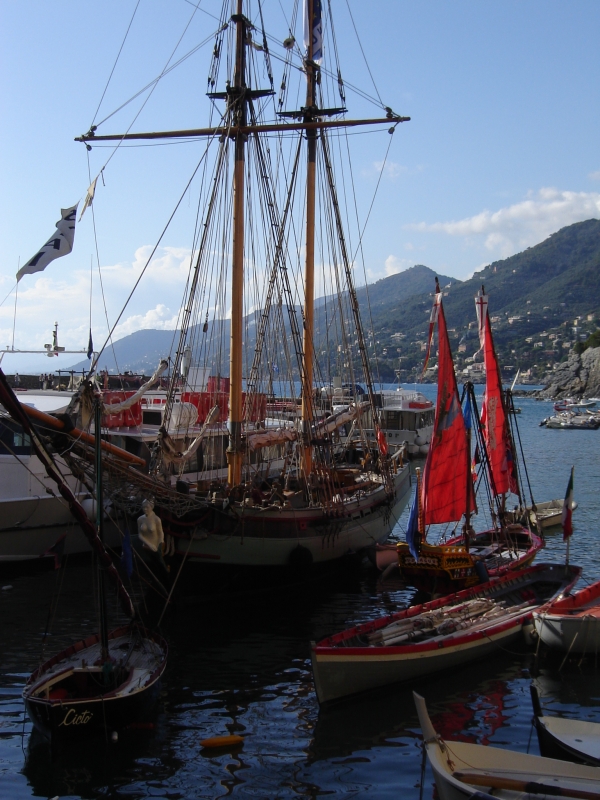 CAMOGLI