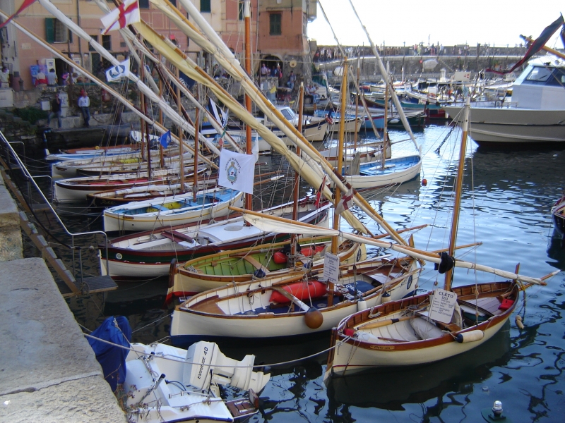 CAMOGLI