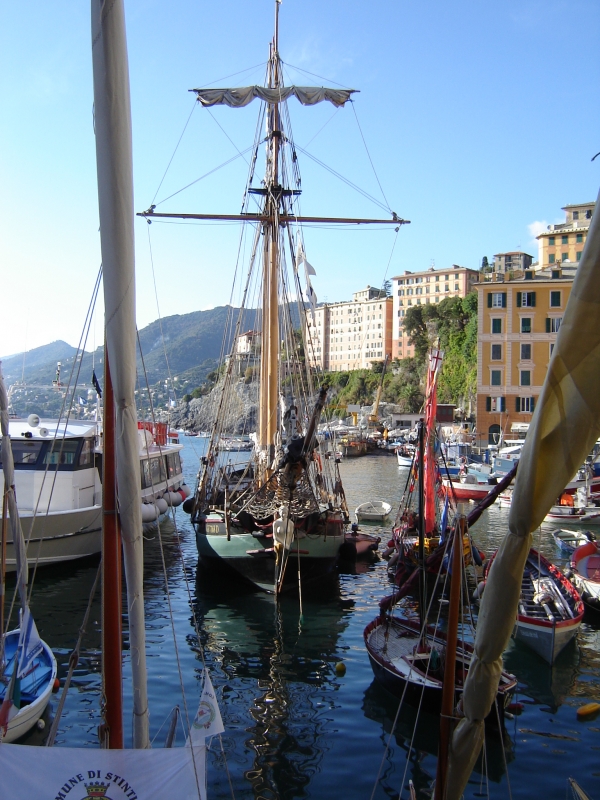 CAMOGLI