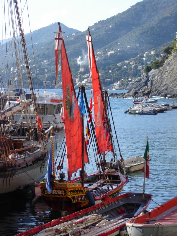 CAMOGLI