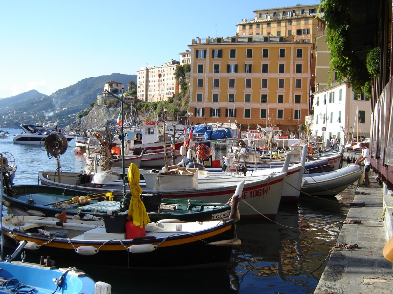 CAMOGLI