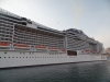 MSC  MERAVIGLIA