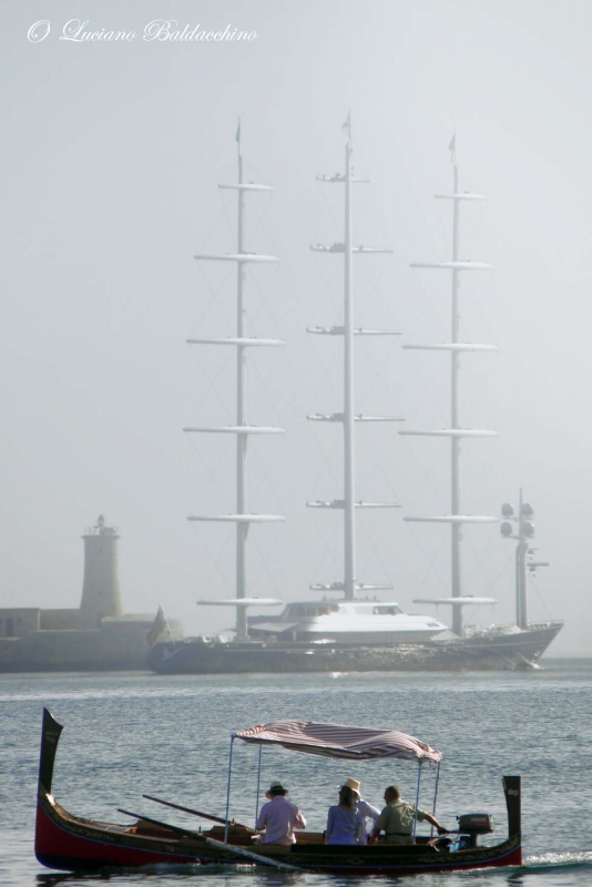 MALTESE FALCON