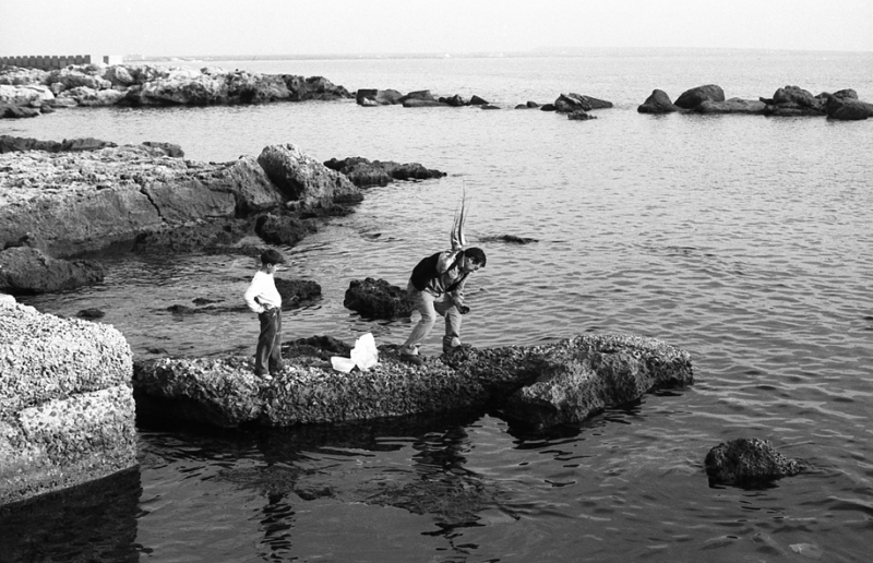 BATTITURA E ARRICCIATURA DI UN POLPO.