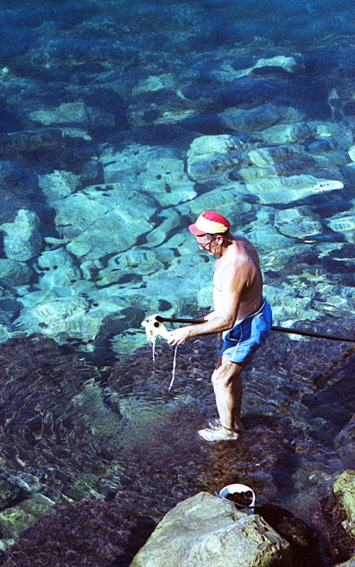 COSIMINO - PESCATORE DI RICCI