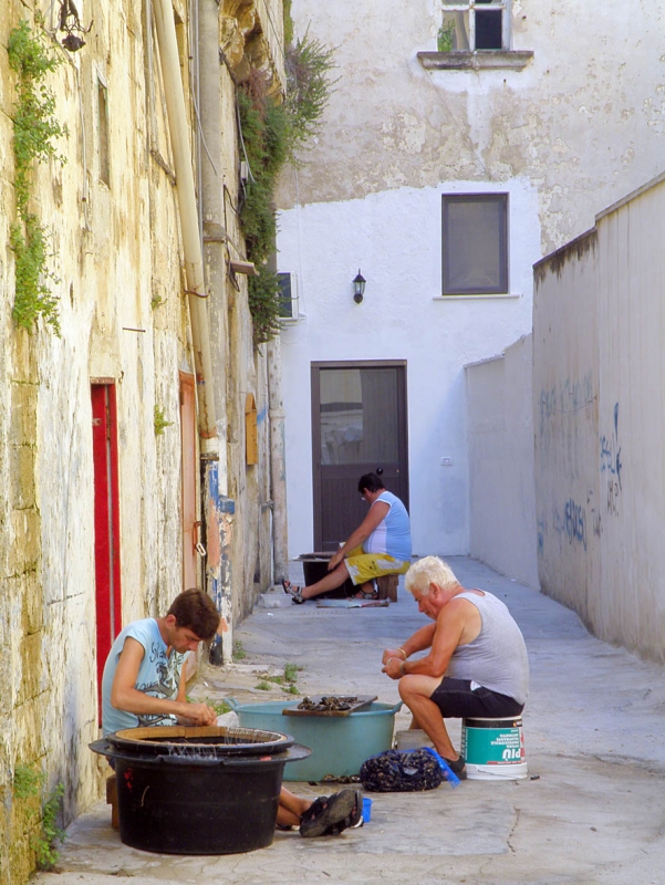 MESSA IN CHIARO E RASSETTAGGIO DEI PALAMITI