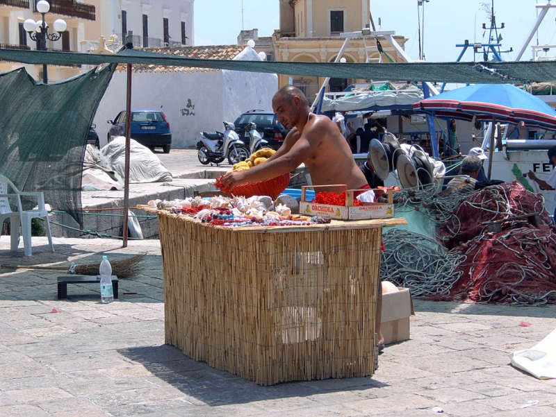 SOUVENIR  DEL  MAR...