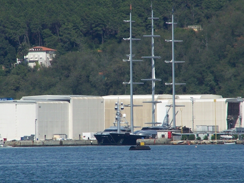 Maltese Falcon