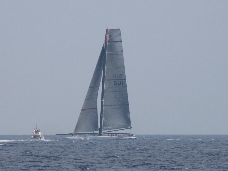 ALINGHI 5