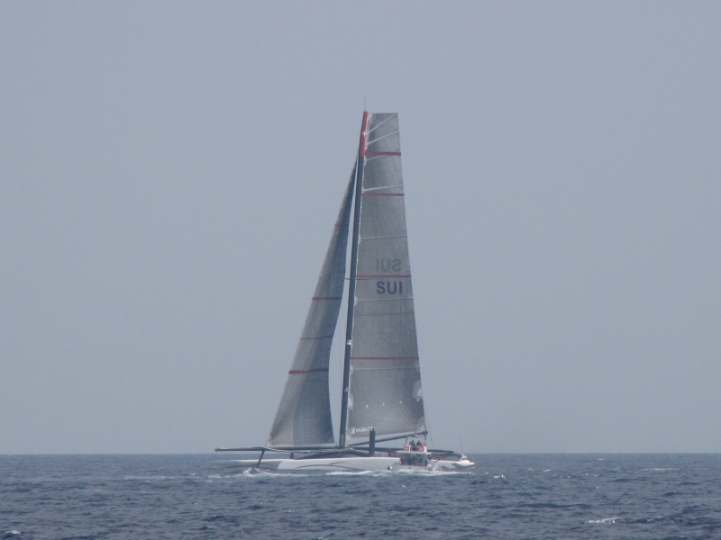 ALINGHI 5